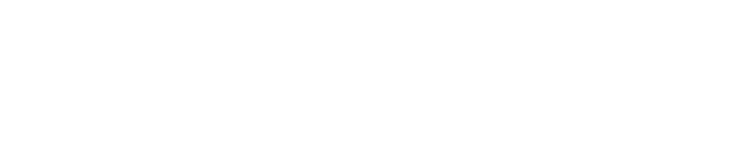 Fittara Logo